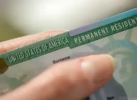 download (12)_11zon download (12)_11zon